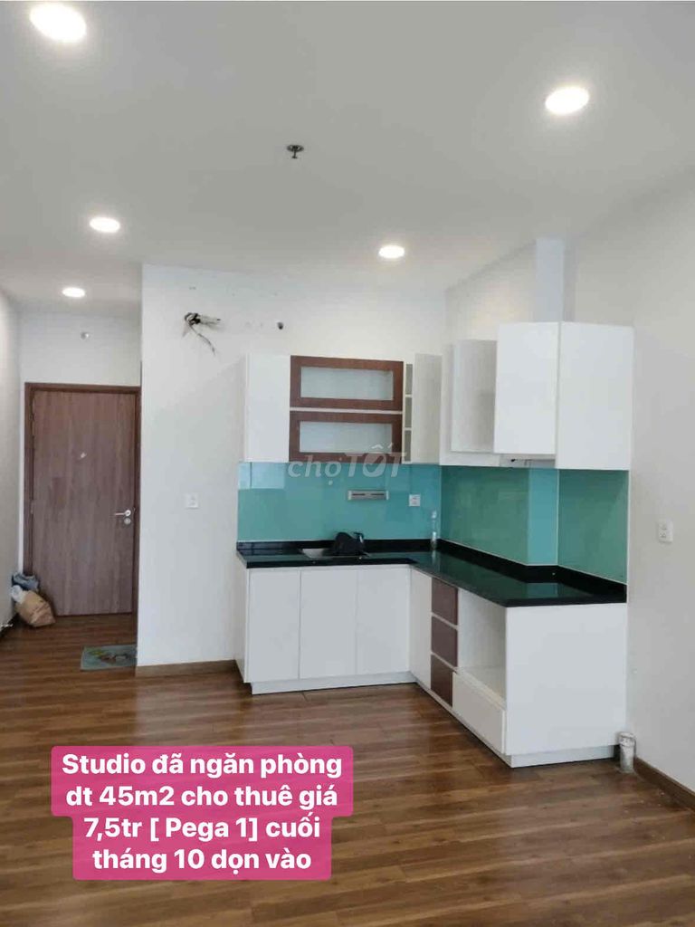 STUDIO ĐÃ NGĂN PHÒNG DT 45m2