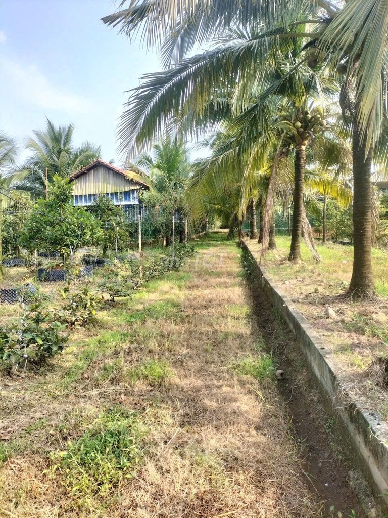 Bán đất 4685m2 có thổ cư Nhơn Trạch Đồng Nai
