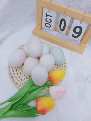 TRỨNG VỊT ĐỒNG SỈ. Mua bán Đồ ăn, thực phẩm và các loại khác tại Quận Bình Tân Tp Hồ Chí Minh được đăng bởi LÊ THỊ THÙY LINH