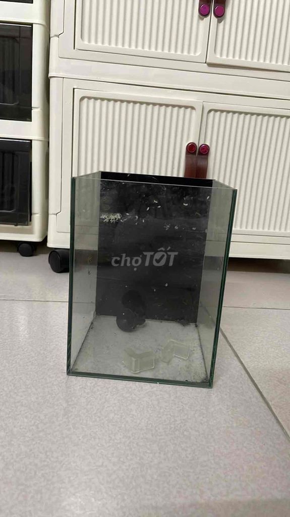 Bể cá mini cao 20cm. Mua bán Phụ kiện, Thức ăn, Dịch vụ tại Quận Ba Đình Hà Nội được đăng bởi 8D WATCH hình 1