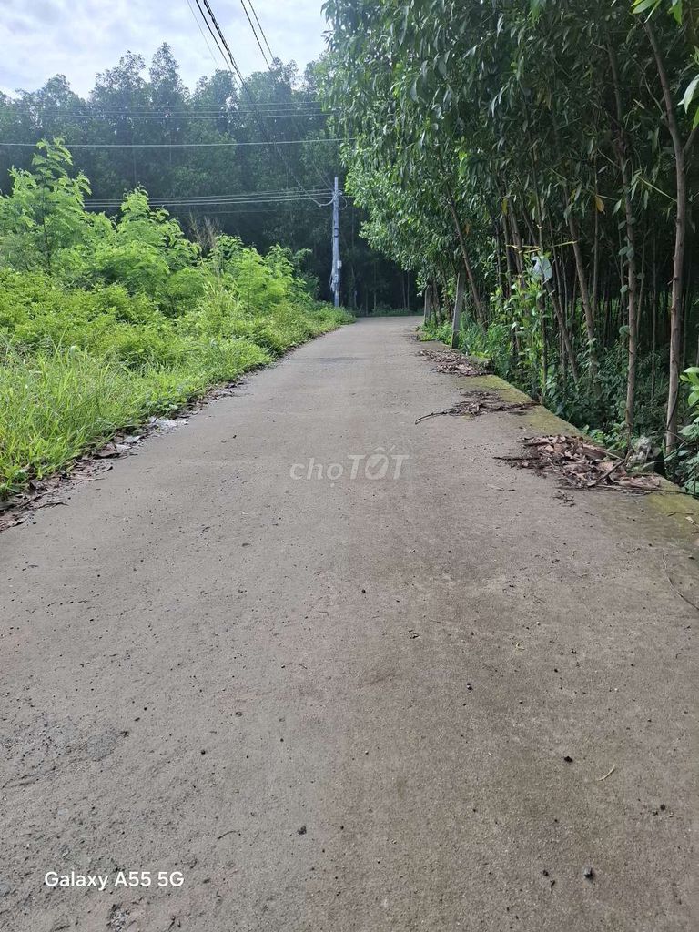 Đất Nhánh Phạm Hùng- Xã Đất Đỏ,TP.HCM