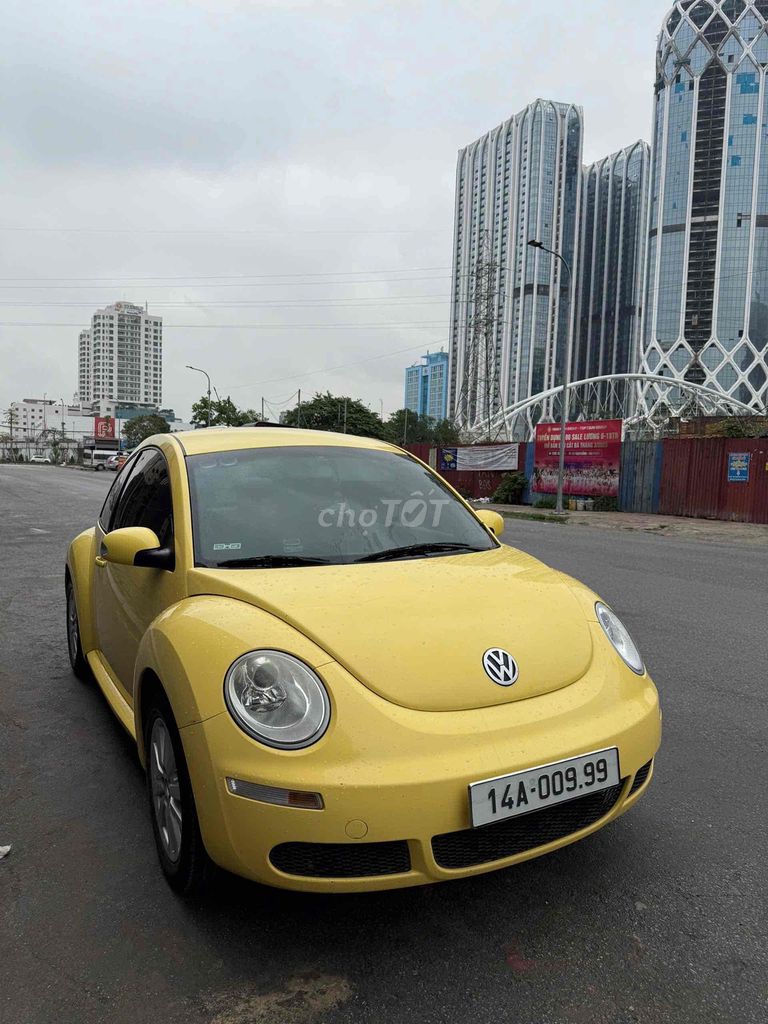 Ảnh số 7