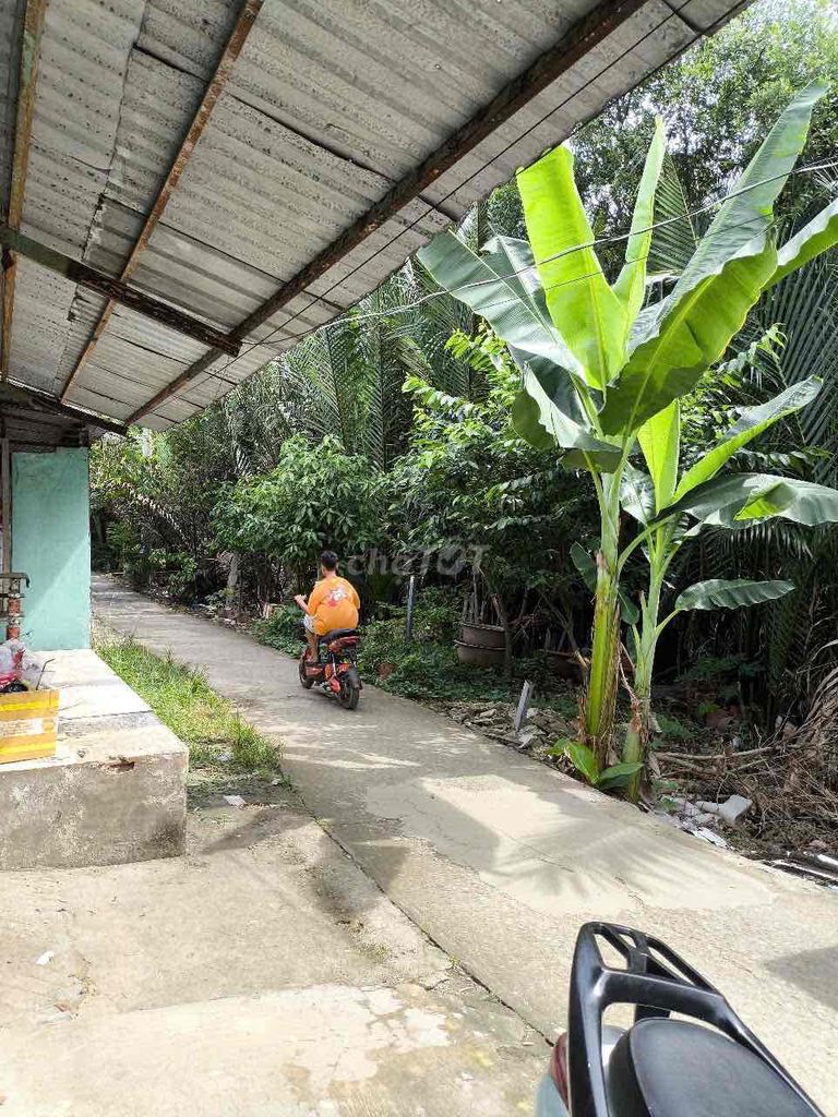 chính chủ vỡ nợ bán nhà long an