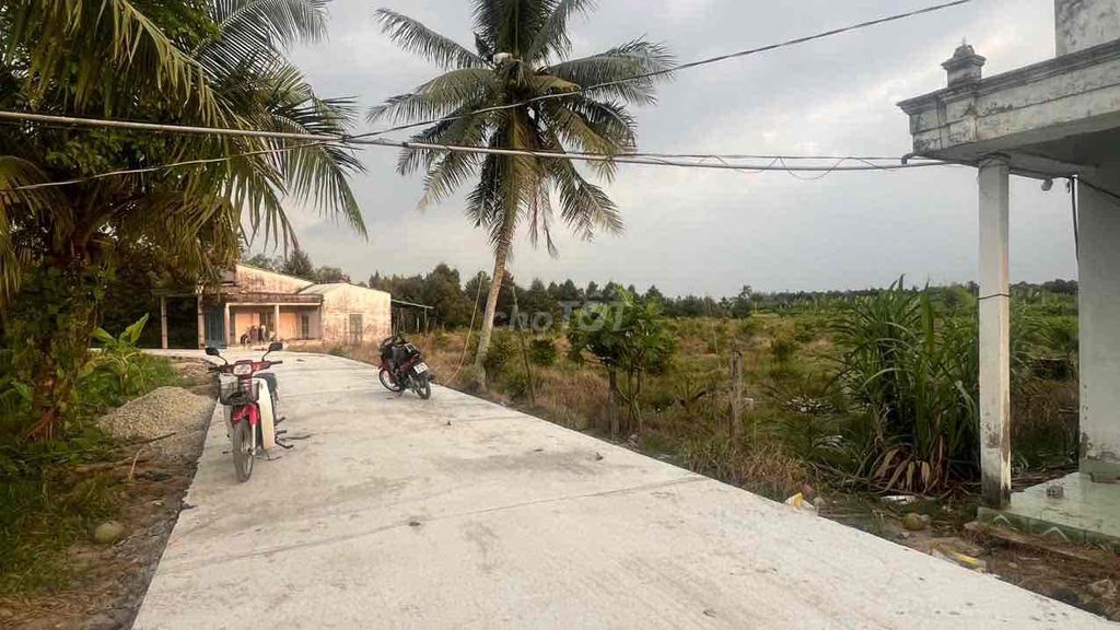 Bán hơn 5 công đất lộn 4m giao nhau với lộ 918 và vành đai phía Tây.