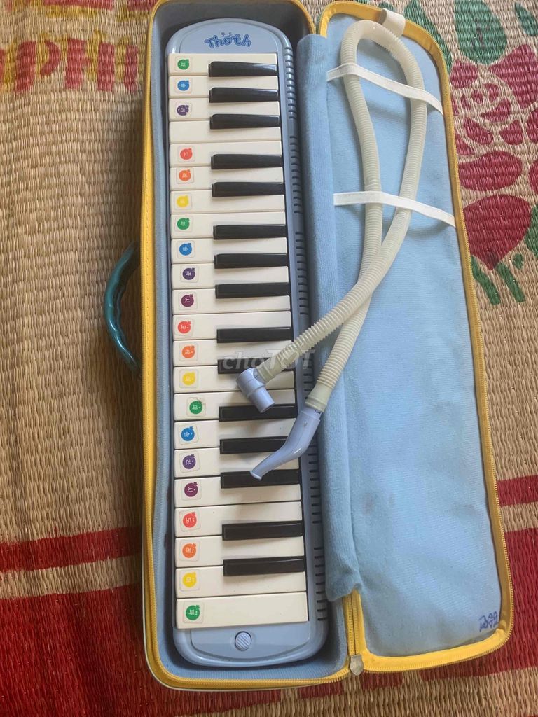 Kèn Melodica Nhựa Xanh dương Cả nam và nữ. Mua bán Nhạc cụ tại Quận Hà Đông Hà Nội được đăng bởi nguyễn tuân hình 1