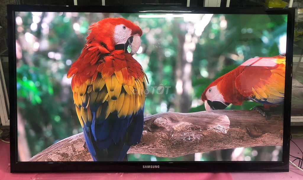 Tivi Plasma Samsung 51D450. Mua bán Tivi, Âm thanh tại Quận Liên Chiểu Đà Nẵng được đăng bởi Nhật Tảo Center Đà Nẵng hình 1