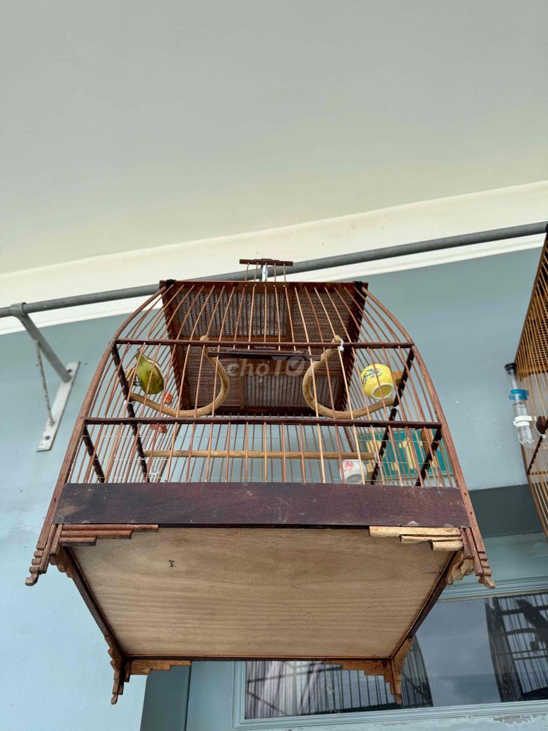 Lồng chim gỗ màu nâu. Mua bán Phụ kiện, Thức ăn, Dịch vụ tại Quận 12 Tp Hồ Chí Minh được đăng bởi Tấn Tài Đỗ hình 1