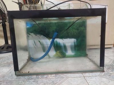 Bể cá cảnh Kính 50x25x35 cm. Mua bán Phụ kiện, Thức ăn, Dịch vụ tại Quận Hoàng Mai Hà Nội được đăng bởi Lương Sơn