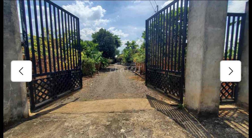 BÁN 4062M2 ĐẤT CHÍNH PHỦ ĐÃ PHỦ HỒNG-VỊ TRÍ ĐẸP, GIÁ TỐT. Mua bán đất tại Huyện Thống Nhất Đồng Nai được đăng bởi Công Tài hình 3
