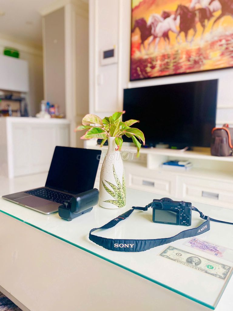 CHÍNH CHỦ CẦN BÁN GẤP CĂN HỘ D’LUSSO VIEW ĐẸP – FULL NỘI THẤT. Mua bán Căn hộ/Chung cư tại Thành phố Thủ Đức Tp Hồ Chí Minh được đăng bởi Võ Ngọt hình 12