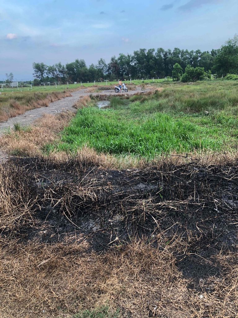 đất cay hàng năm sổ Hồng mot xẹt nguyên kim cuong