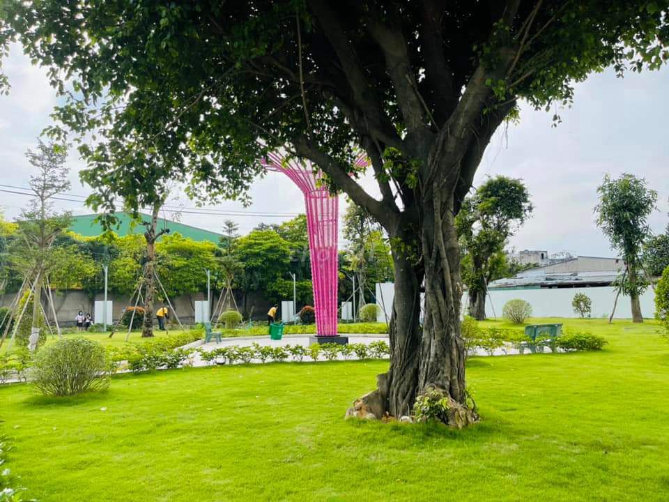 Cho thuê căn hộ chung cư Iris gần Svip1. Cho thuê căn hộ/chung cư tại Thành phố Thuận An Bình Dương được đăng bởi Pham thi thuy Duong hình 5