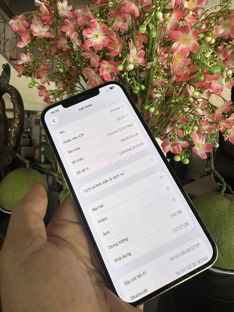 Apple iPhone 12 Pro Max 256GB Vàng Mỹ. Mua bán Điện thoại tại Thành phố Biên Hòa Đồng Nai được đăng bởi thanh hình 1