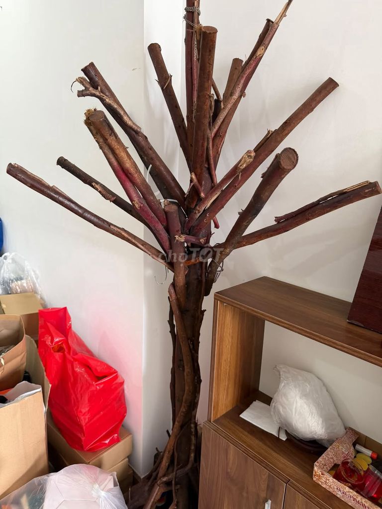 Cây khô Gỗ trang trí Bình Thạnh. Mua bán Cây cảnh, đồ trang trí tại Quận Bình Thạnh Tp Hồ Chí Minh được đăng bởi Hội Đồ Điện Tử hình 1