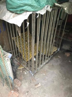 Bán thanh lý chuồng chó ghi đốc hà nội long biên. Mua bán Phụ kiện, Thức ăn, Dịch vụ tại Quận Long Biên Hà Nội được đăng bởi BẤT ĐỘNG SẢN HÀ NỘI 