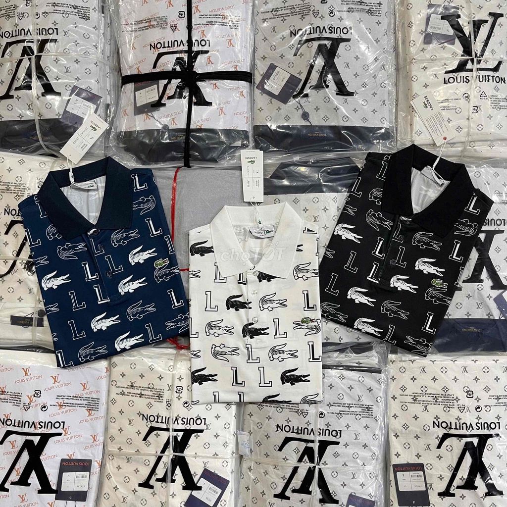 Áo cộc polo cá sấu. Mua bán Quần áo tại Huyện Quế Võ Bắc Ninh được đăng bởi ptrantvp hình 1