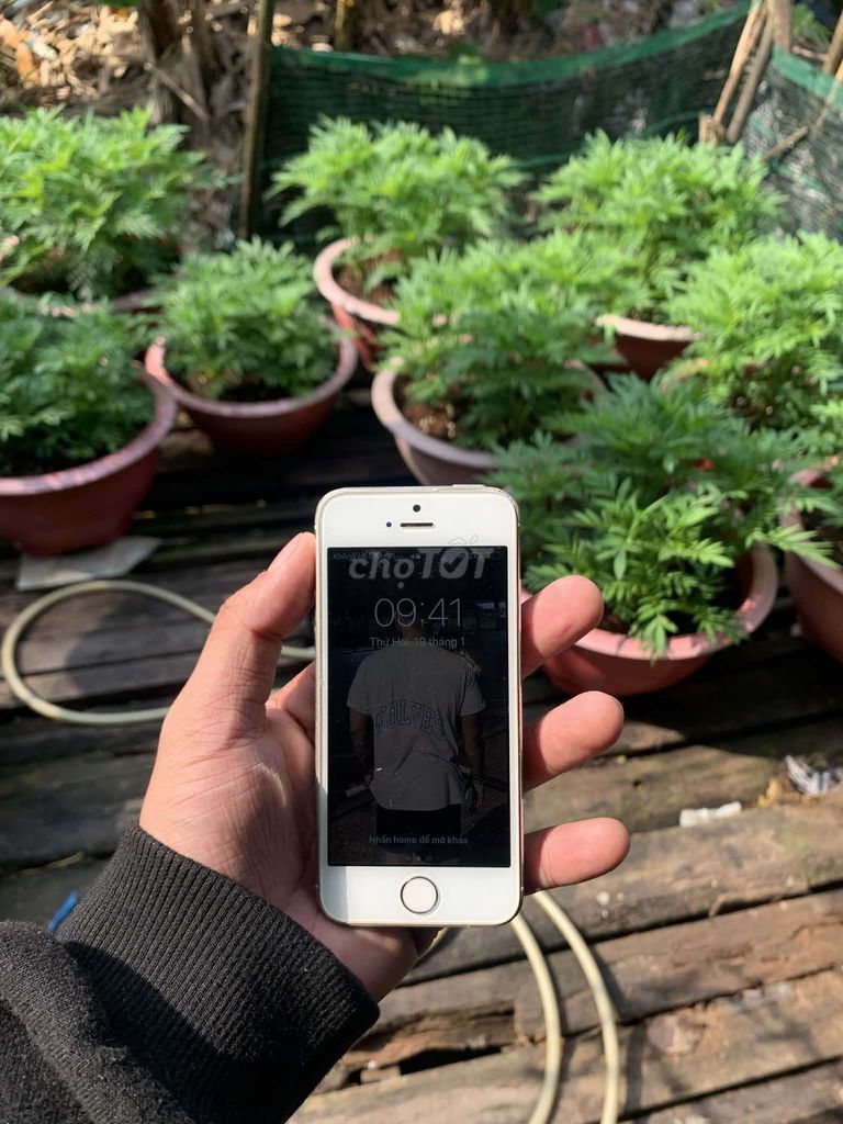 Apple iPhone 5s 32GB Bạc. Mua bán Điện thoại tại Huyện Châu Thành Bến Tre được đăng bởi ALi BaBaBa hình 1