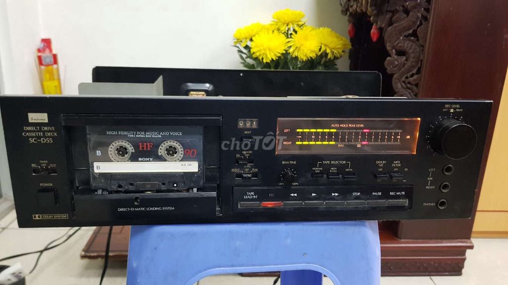 SANSUI CS D55