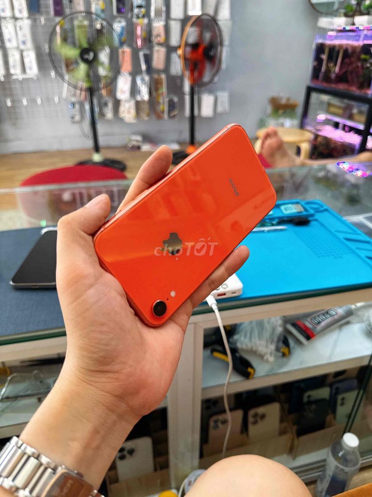 Iphone XR QuốcTế full zin nguyên bản 100% ngon 🍀. Mua bán Điện thoại tại Quận Thanh Khê Đà Nẵng được đăng bởi Hoàng Apple Iphone sỉ giá rẻ 273 Nguyễn Hoàng Đà Nẵng hình 5