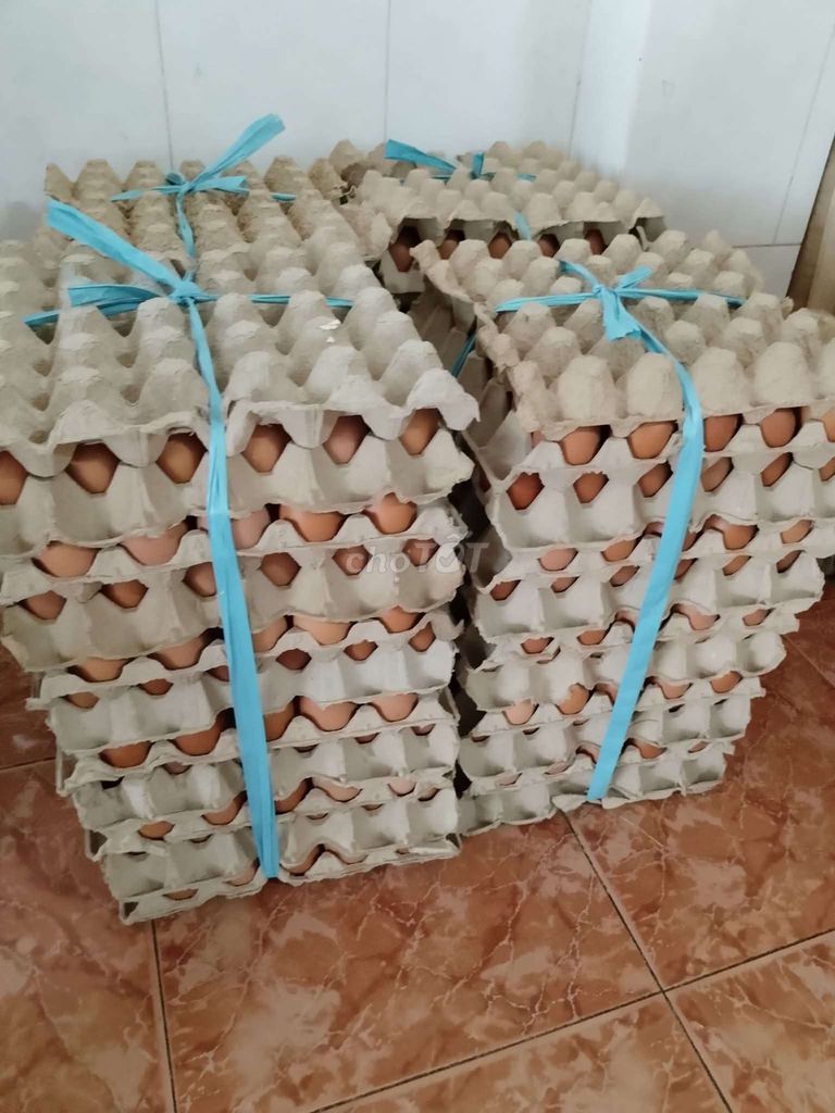 Trứng gà và trứng vịt Size to. Mua bán Đồ ăn, thực phẩm và các loại khác tại Thị xã Bến Cát Bình Dương được đăng bởi Mỹ Võ hình 1