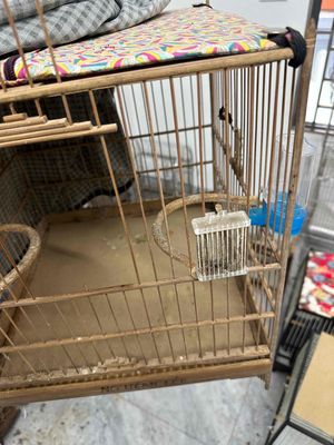 lồng chim thanh lý. Mua bán Chim tại Quận Nam Từ Liêm Hà Nội được đăng bởi Trung
