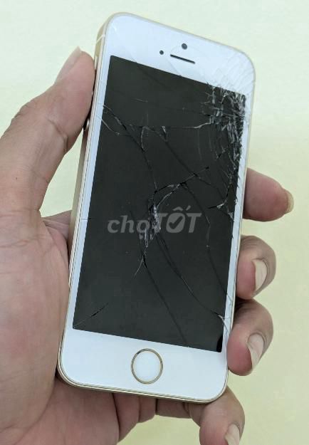 Apple iPhone SE 2016 64GB Vàng. Mua bán Điện thoại tại Thị xã Quảng Yên Quảng Ninh được đăng bởi Nguyễn Dũng hình 1