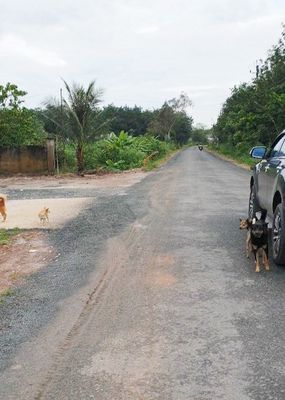 Cần tiền bán gấp trong tháng 7 giảm sâu lô đất mặt tiền đường nhựa 30m. Mua bán đất tại Huyện Tân Châu Tây Ninh được đăng bởi Hướng