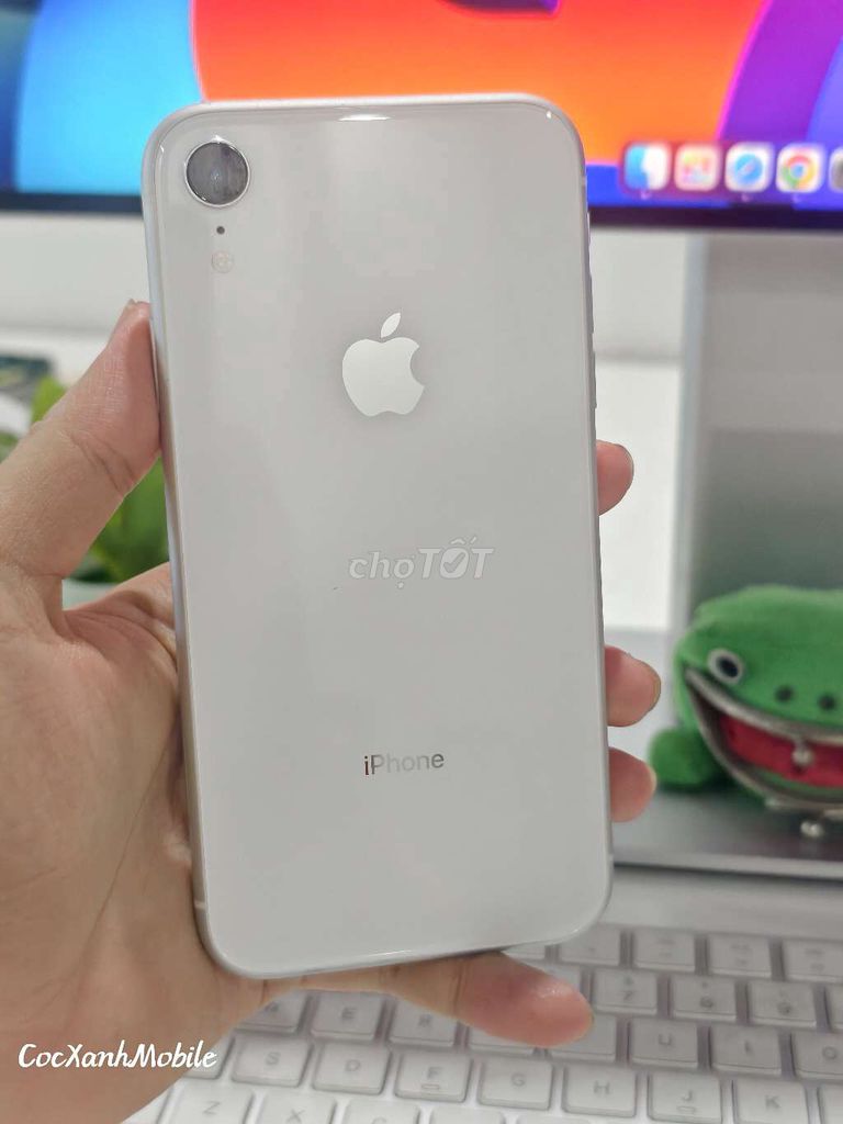 Apple iPhone XR 64Gb Trắng zin áp đẹp 99%. Mua bán Điện thoại tại Quận Liên Chiểu Đà Nẵng được đăng bởi Minh Hiệp CócXanhMobile hình 1