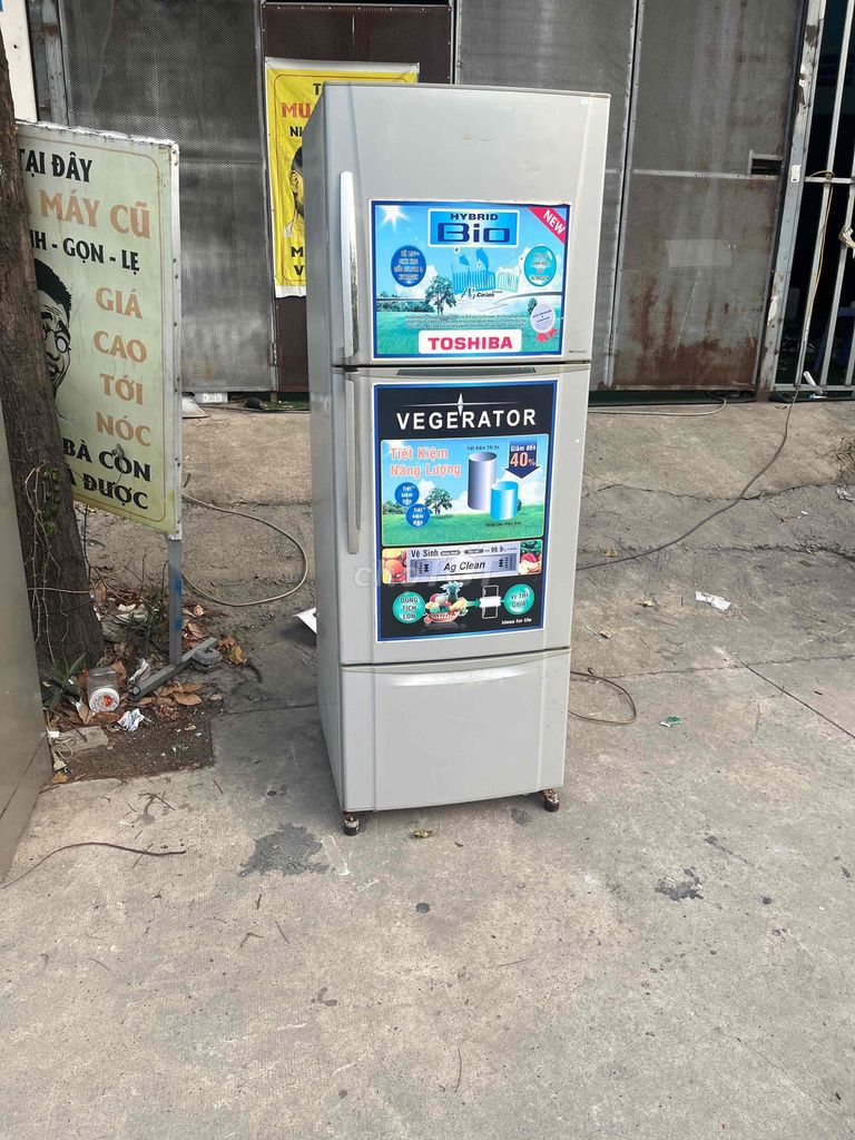 Tủ lạnh Toshiba 300L Xám. Mua bán Tủ lạnh tại Thành phố Thủ Dầu Một Bình Dương được đăng bởi Nguyễn văn hiển hình 1