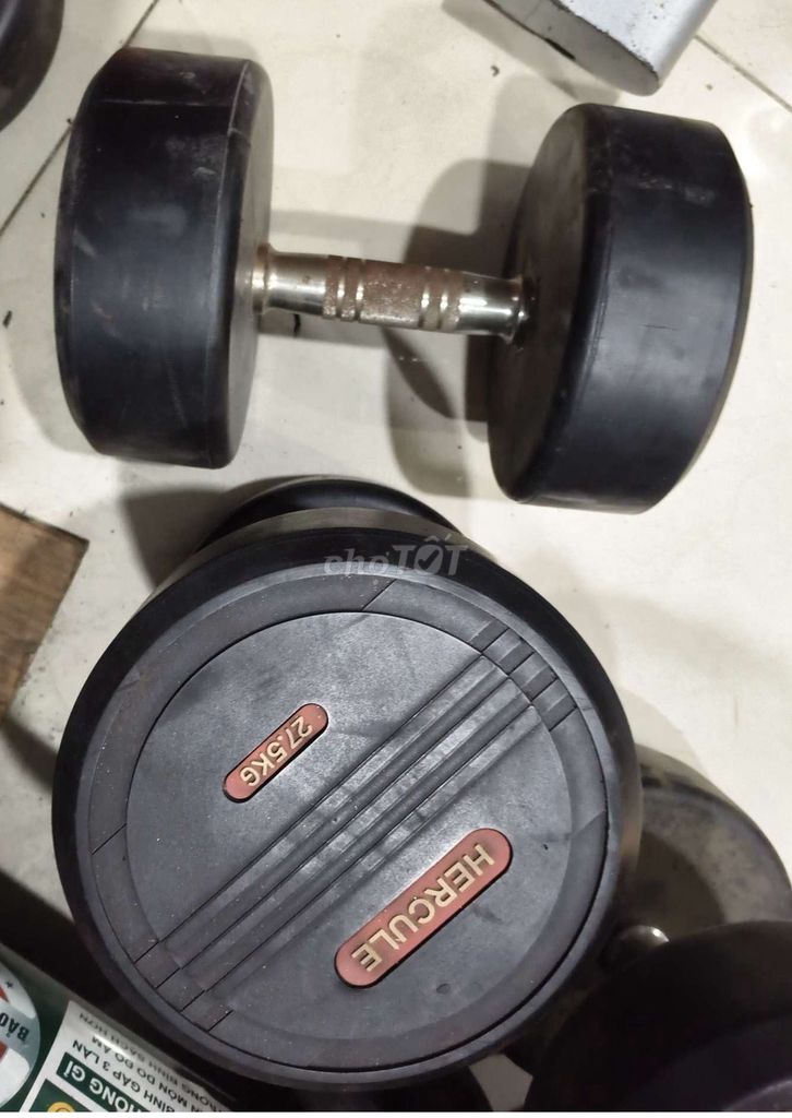 Tạ đơn Hercule 27.5kg Cao su, kim loại Đen, bạc