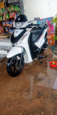 Xe Sh 125cc