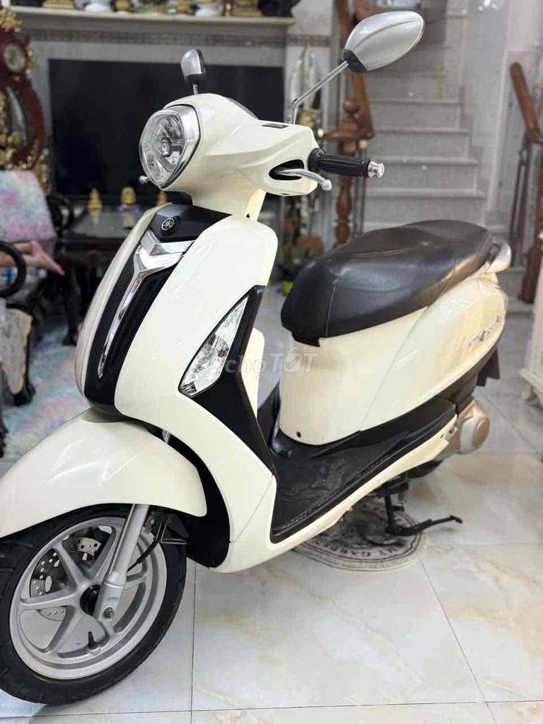 Grande Fi (Trùm mền) Bstp Đẹp mới 98% Zin. Mua bán Xe máy tại Quận 4 Tp Hồ Chí Minh được đăng bởi Huy hình 4