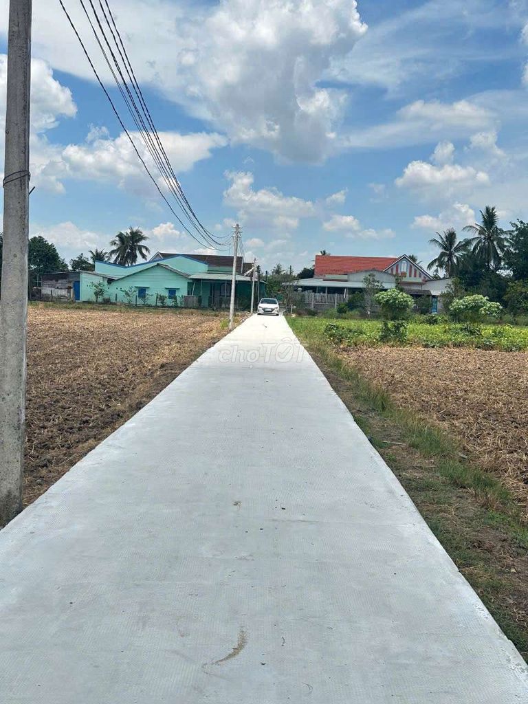 Đất thổ 5x32m chỉ có 359tr tại Bình Tịnh, Tân Trụ, Long An. Mua bán đất tại Huyện Tân Trụ Long An được đăng bởi nguyễn anh tuấn hình 2