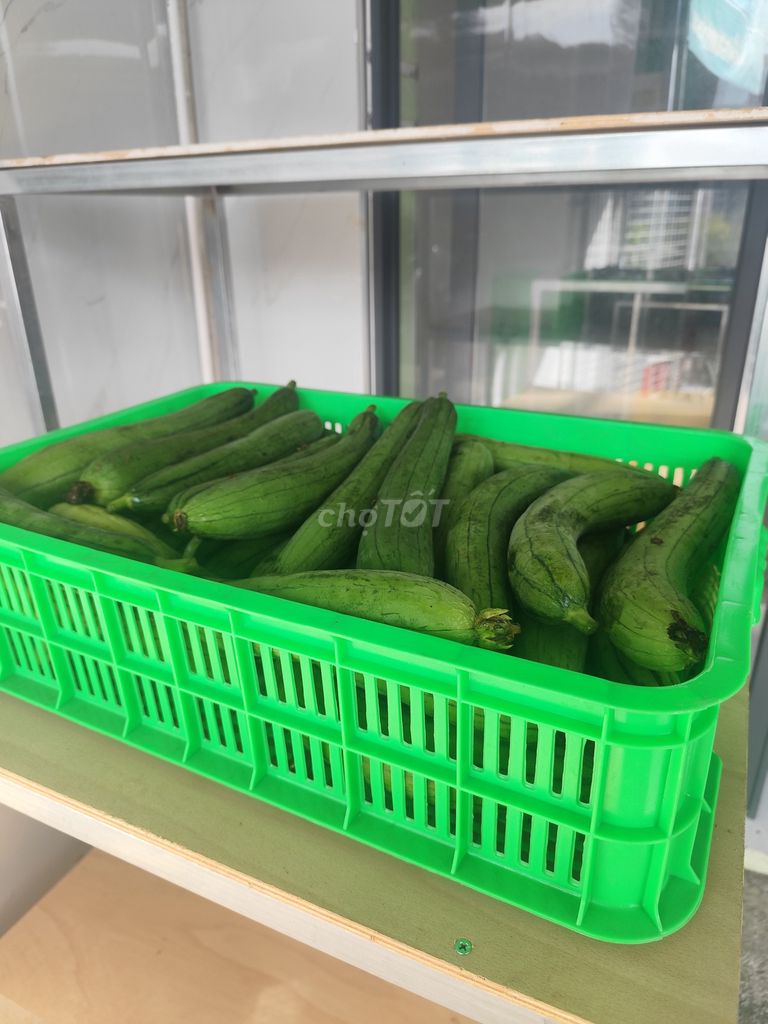 Mướp tươi. Mua bán Đồ ăn, thực phẩm và các loại khác tại Quận Bình Thuỷ Cần Thơ được đăng bởi Khai Trịnh hình 1