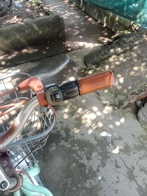 Xe đạp Abraham khung Thép Nhật Bản. Mua bán Xe đạp tại Huyện Tân Phú Đông Tiền Giang được đăng bởi Tuyết Ngọc