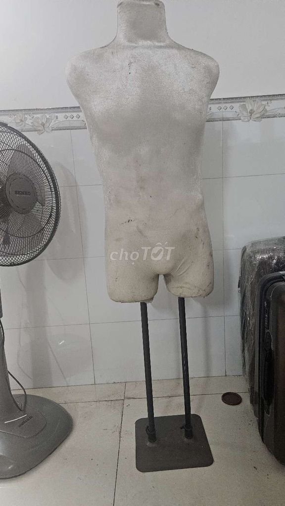 Manơcanh bán thân chân sắt trắng. Mua bán Đồ chuyên dụng, Giống nuôi trồng tại Huyện Hóc Môn Tp Hồ Chí Minh được đăng bởi Lâm hình 1