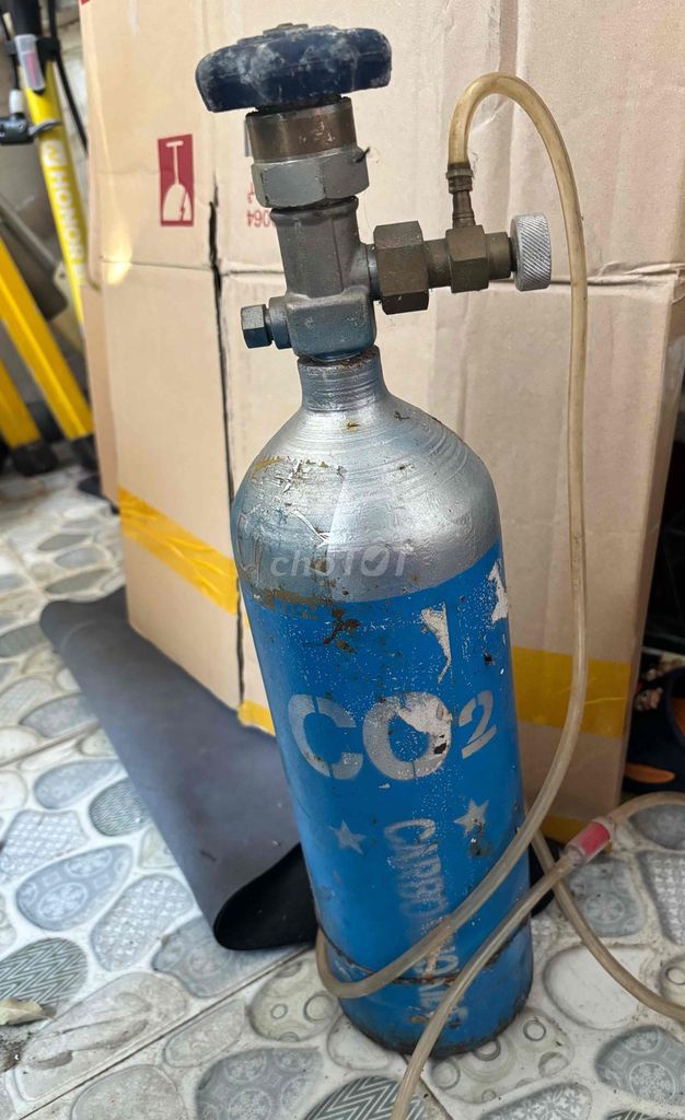 Bình CO2 Thủy sinh Xanh Bạc. Mua bán Cây cảnh, đồ trang trí tại Thành phố Qui Nhơn Bình Định được đăng bởi Văn Quân hình 1
