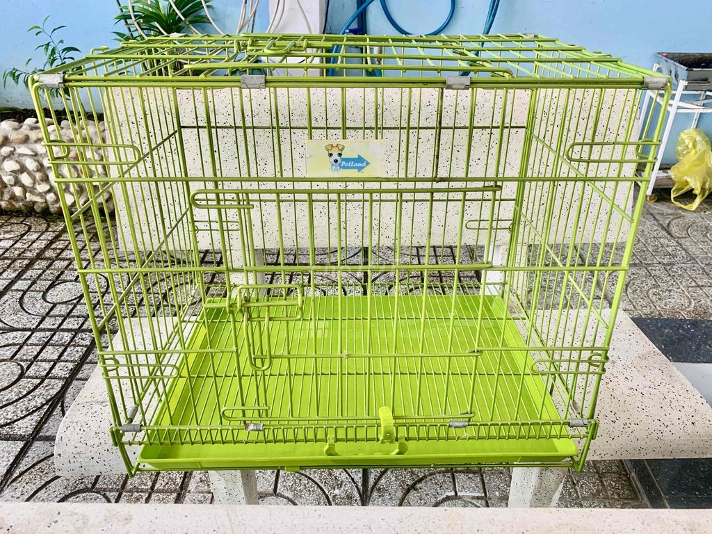 Lồng nuôi thú cưng Kim loại Xanh lá 60x42x50 cm. Mua bán Phụ kiện, Thức ăn, Dịch vụ tại Thành phố Rạch Giá Kiên Giang được đăng bởi TRAN TUAN NAM hình 1