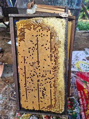 “Mật ong – Cà phê nhà làm: sạch, thơm, chuẩn vị –. Mua bán Đồ ăn, thực phẩm và các loại khác tại Huyện Cư M'gar Đắk Lắk được đăng bởi hà trang