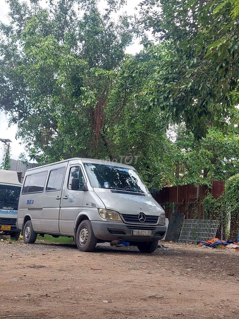 Ảnh số 8