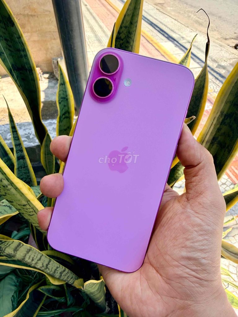Apple iPhone 16 Plus 128GB Hồng Việt Nam. Mua bán Điện thoại tại Quận Thanh Khê Đà Nẵng được đăng bởi Dshop323TrầnCaoVân hình 1