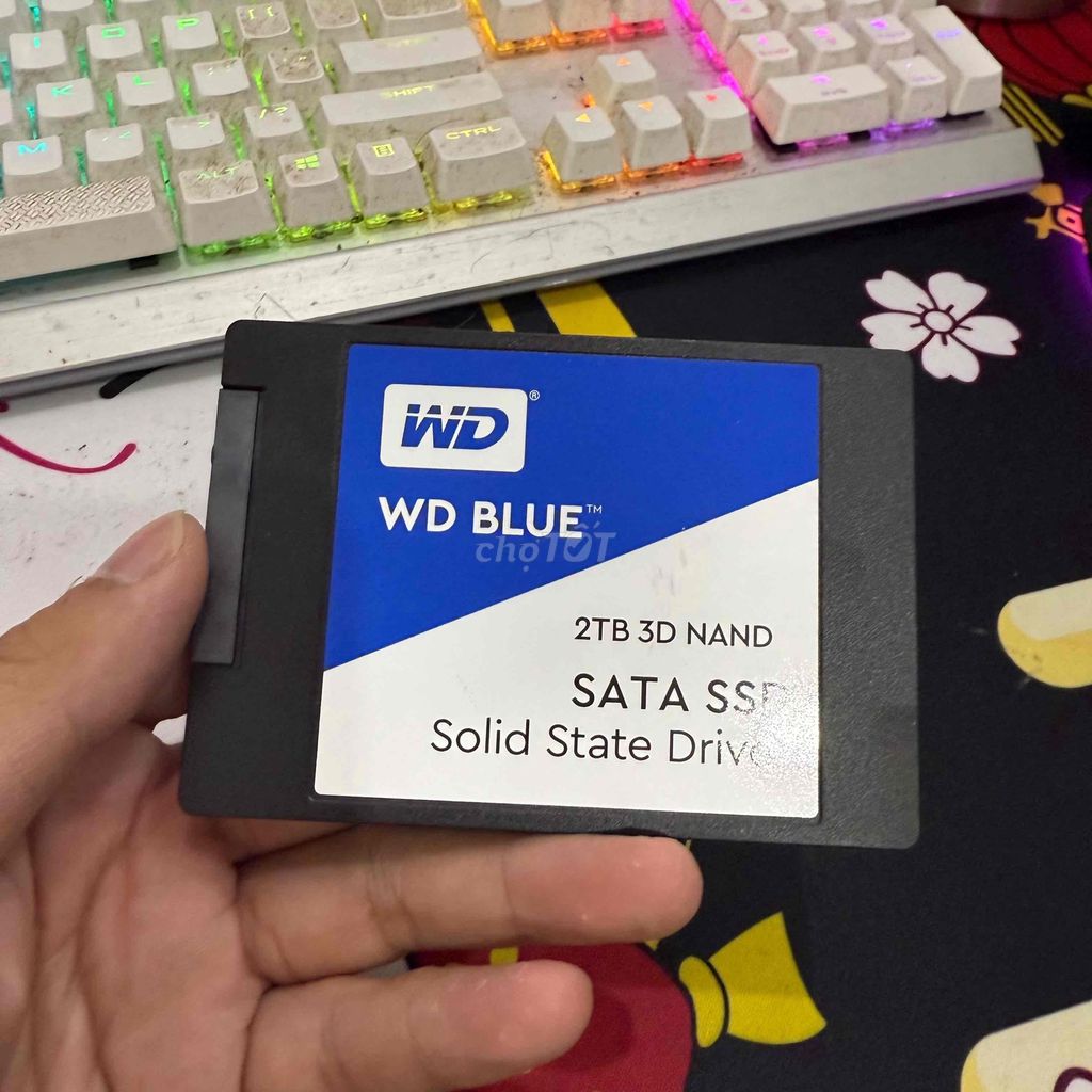 SSD WD Blue 2TB Sata