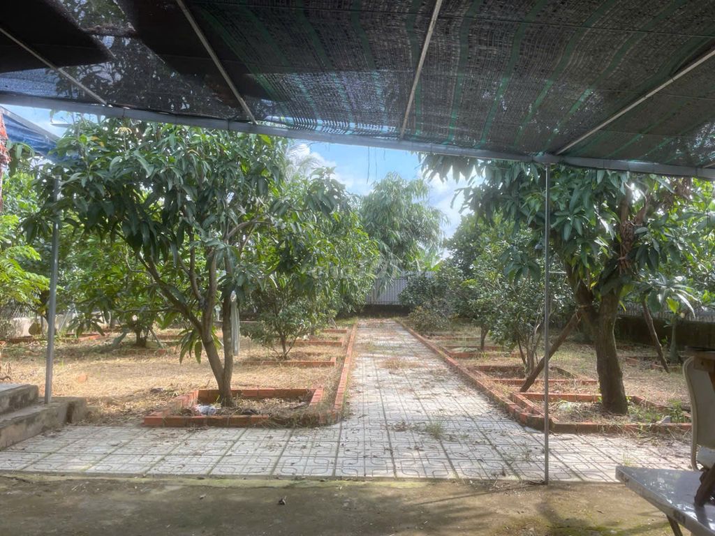 Nhà vườn 500m2 Bình Mỹ giá tốt 2,25 tỷ Đường Bình Mỹ, Xã Bình Mỹ, Huyện Củ Chi, Tp Hồ Chí Minh Huyện Củ Chi Tp Hồ Chí Minh