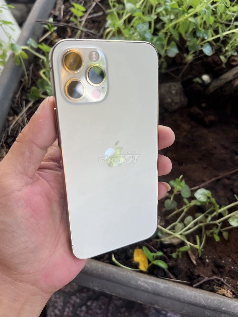 Apple iPhone 12 Pro 256GB Vàng pin 92%. Mua bán Điện thoại tại Quận 1 Tp Hồ Chí Minh được đăng bởi Hoàng Anh hình 1