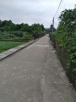 Bán gấp giá rẻ đất phân lô 140m, đất, mặt tiền 6m, 530triệu Bắc Giang. Mua bán đất tại Huyện Hiệp Hòa Bắc Giang được đăng bởi lê anh