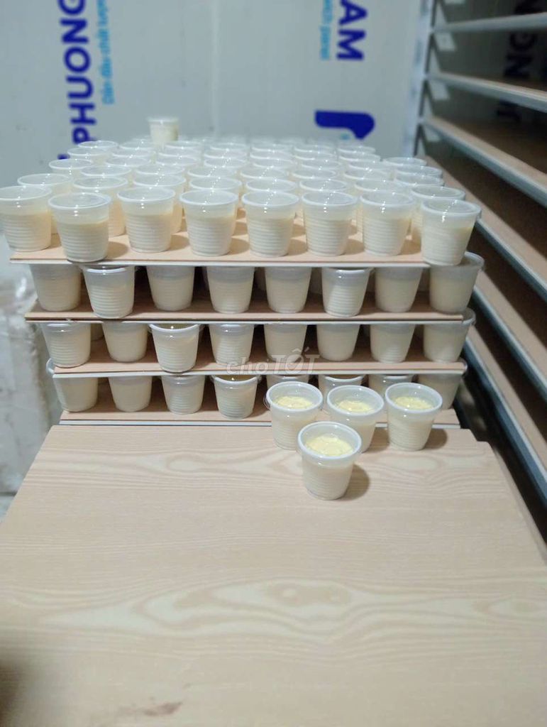 Sữa chua Phô mai . Mua bán Đồ ăn, thực phẩm và các loại khác tại Quận 6 Tp Hồ Chí Minh được đăng bởi Phong Nguyễn hình 1