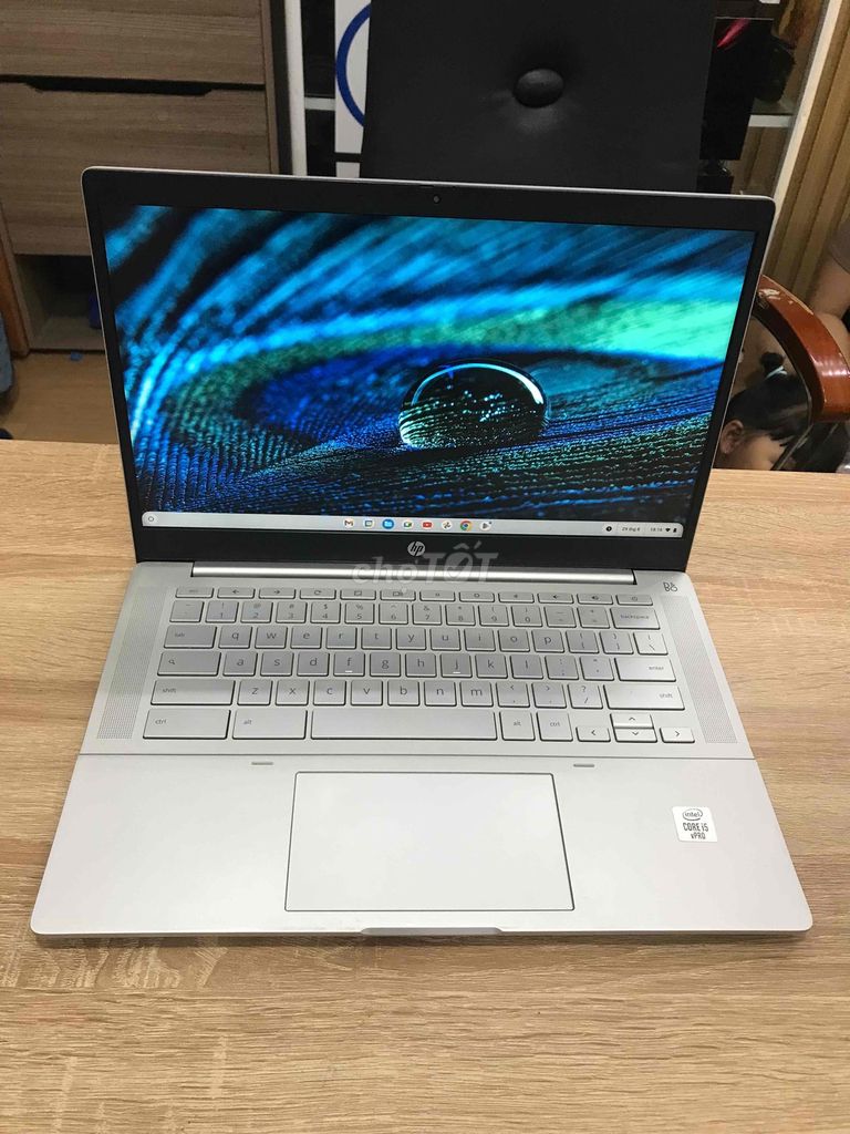 HP Pro C640 Chromebook Core i5 10310U 14 FHD Chrom