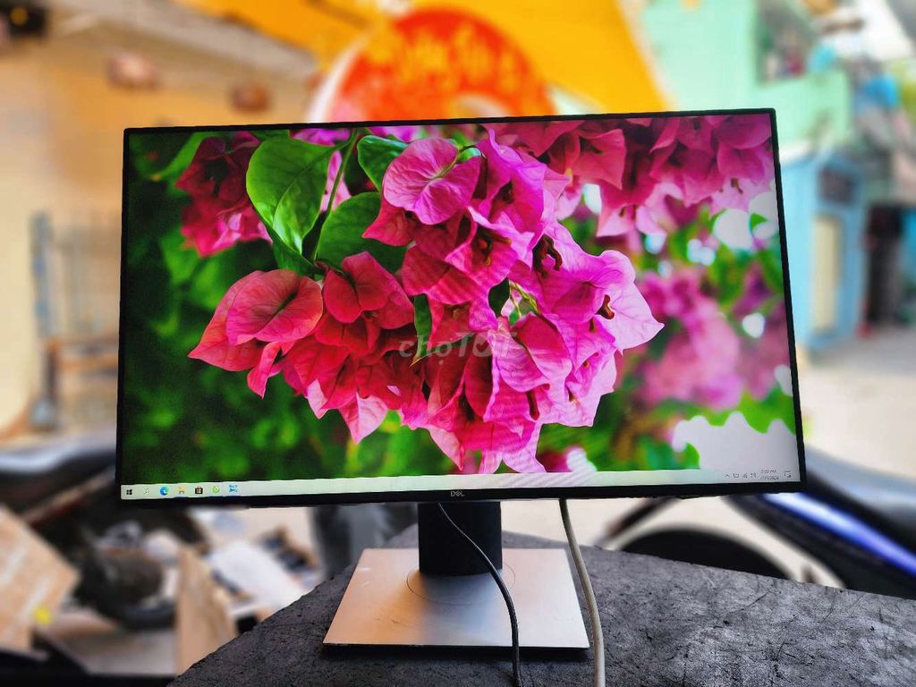 DELL U2421HE TRÀN VIỀN IPS FHD SẠC NGƯỢC TYPE C