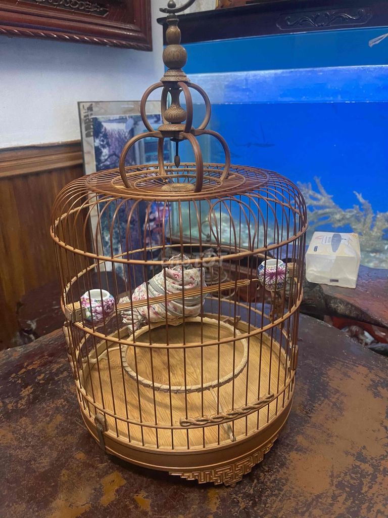 Lồng chim tre chạm khắc áo lồng. Mua bán Chim tại Quận Thanh Xuân Hà Nội được đăng bởi A.Hải  hình 1