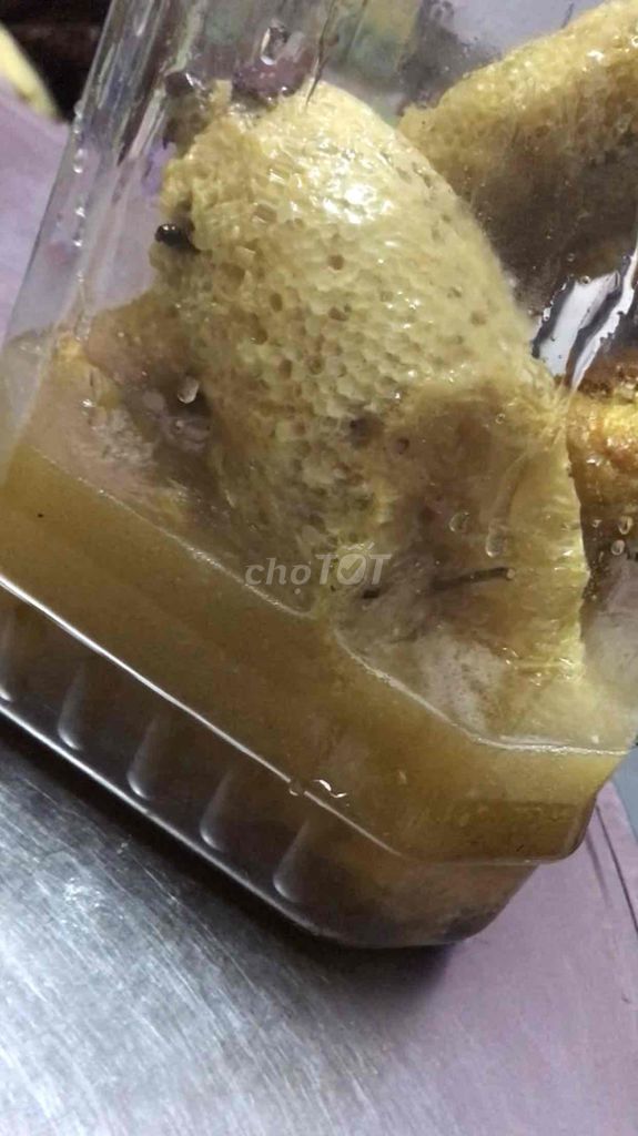 mật ong ruồi nguyên ổ ạ